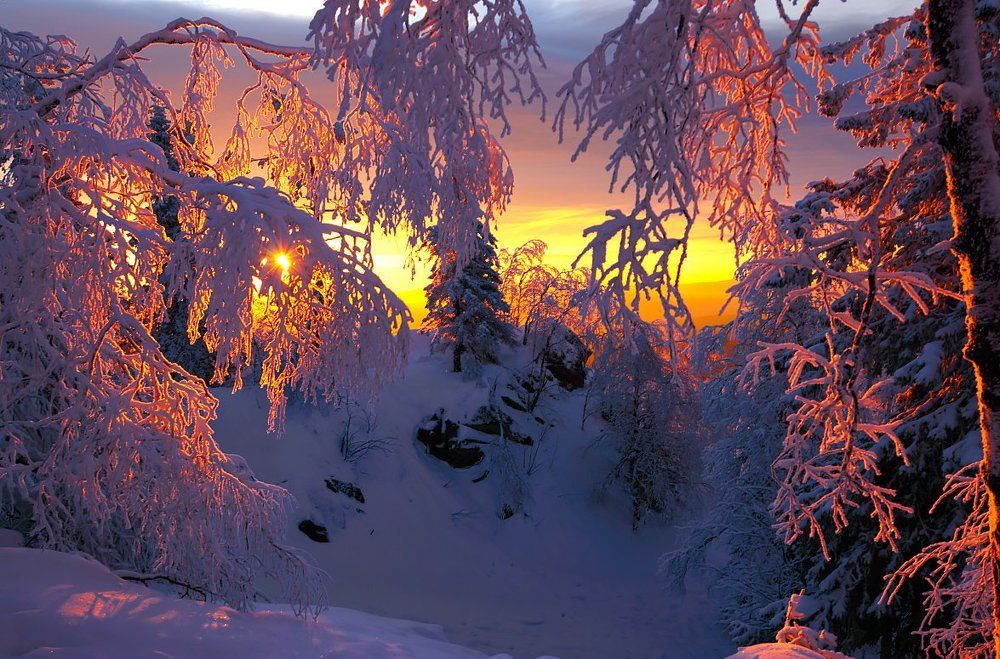 Рассвет не за горами...