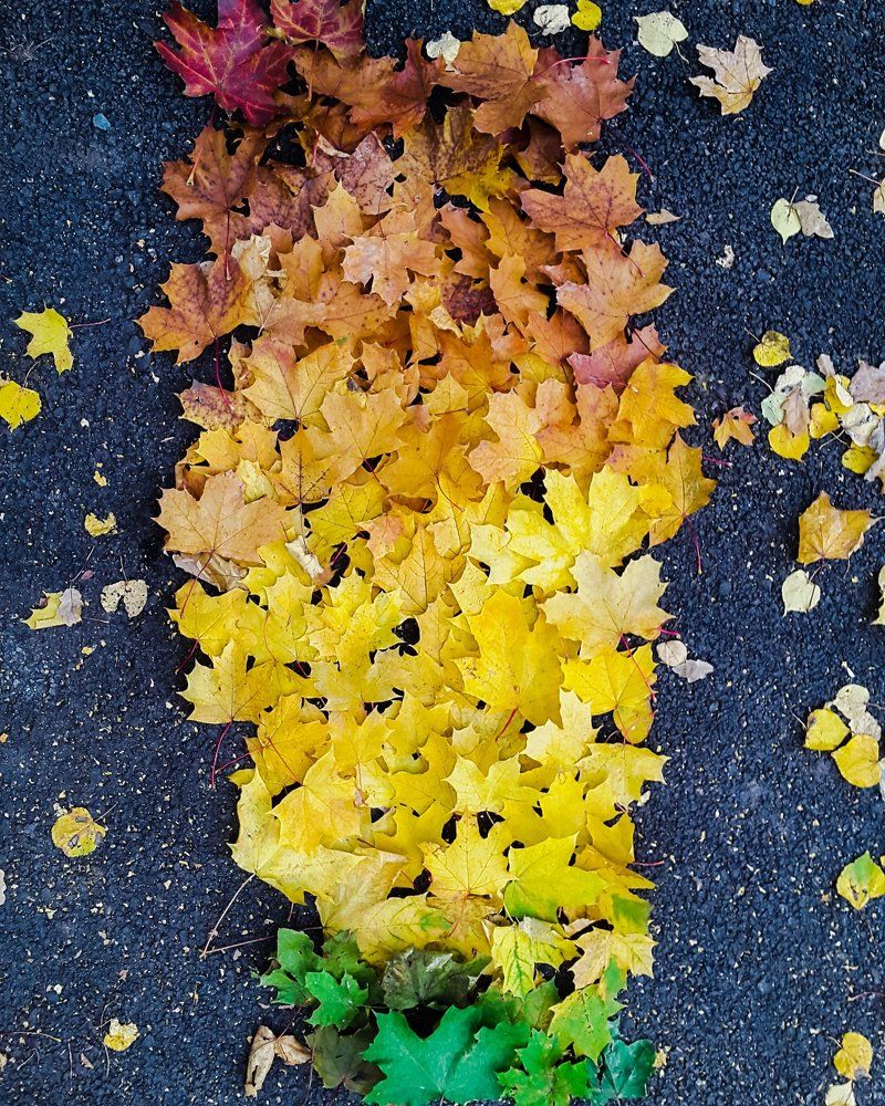 Photograph by Альберт