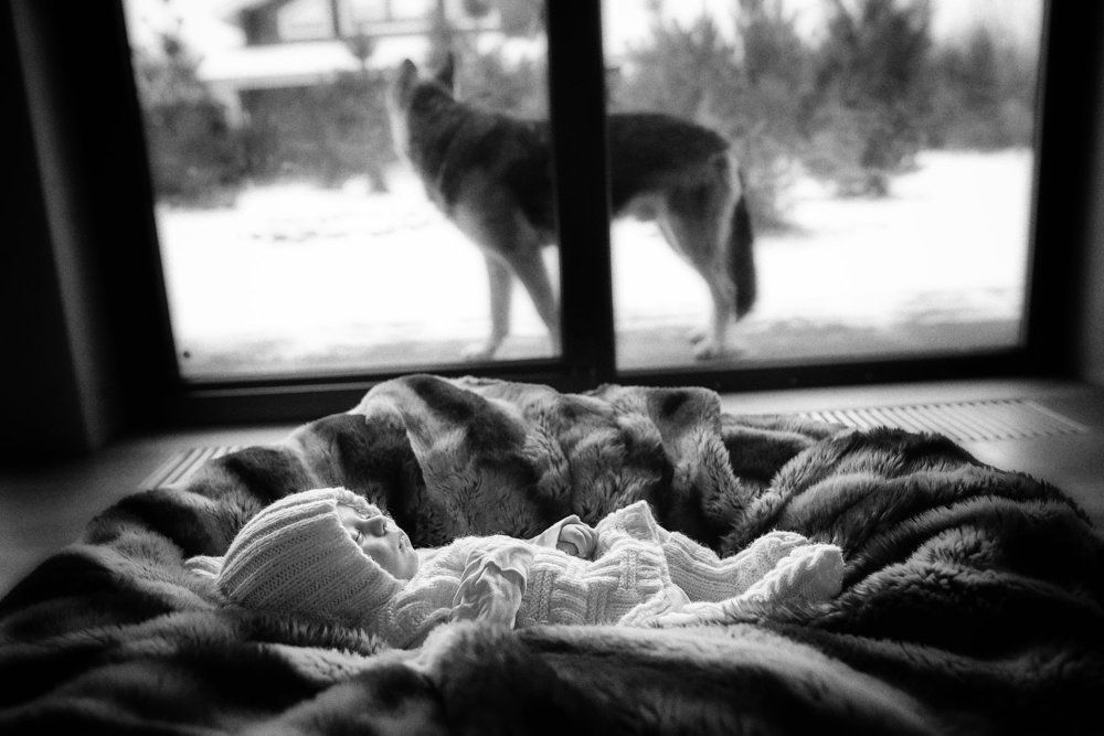 на страже...