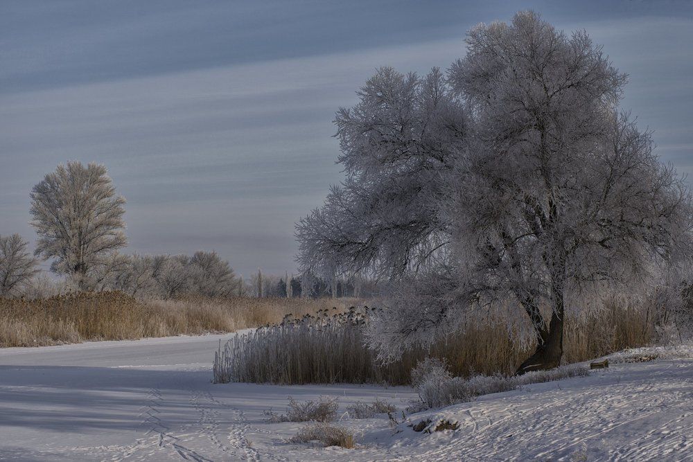 Утро светлого дня