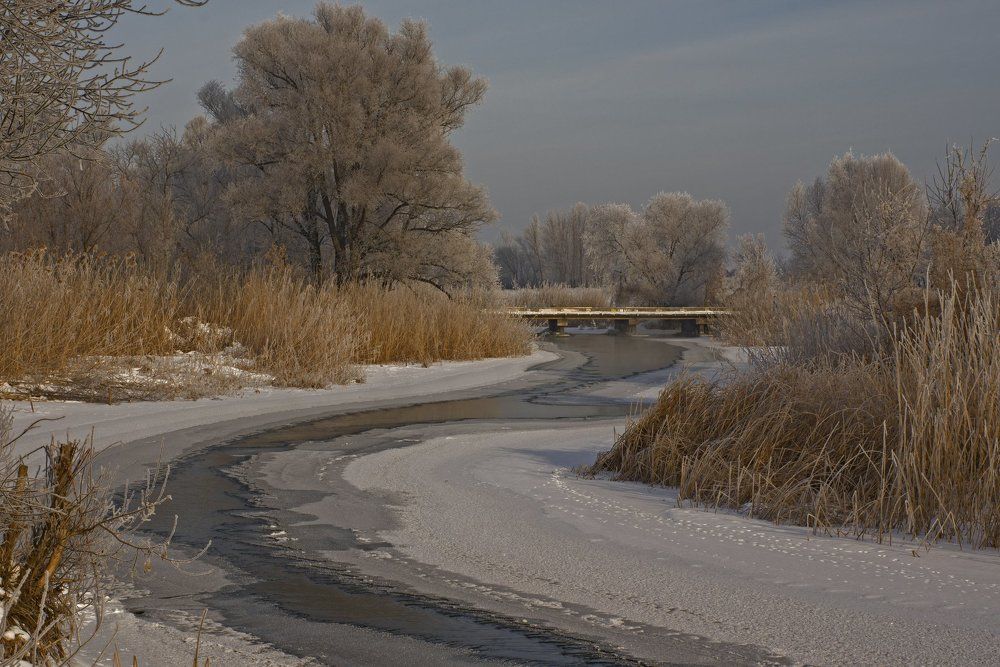 Морозный день