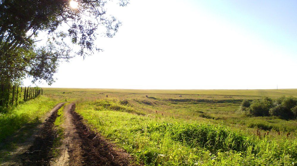 countryside