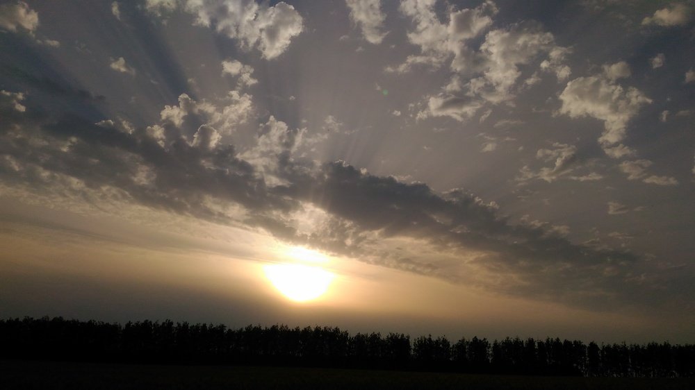 Летний вечер