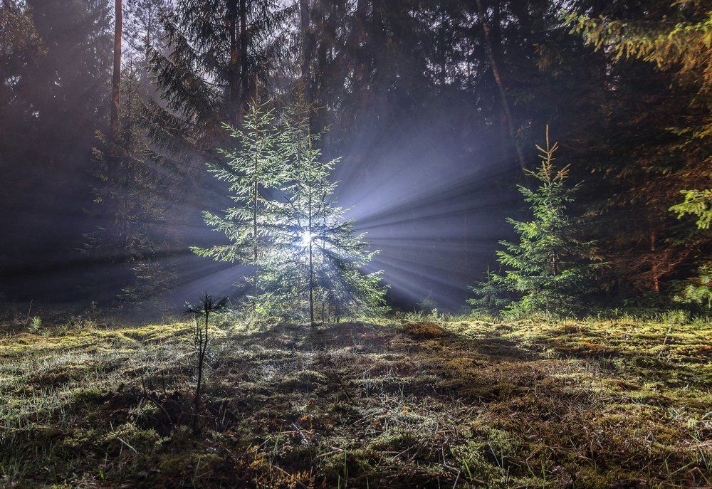 Световой взрыв