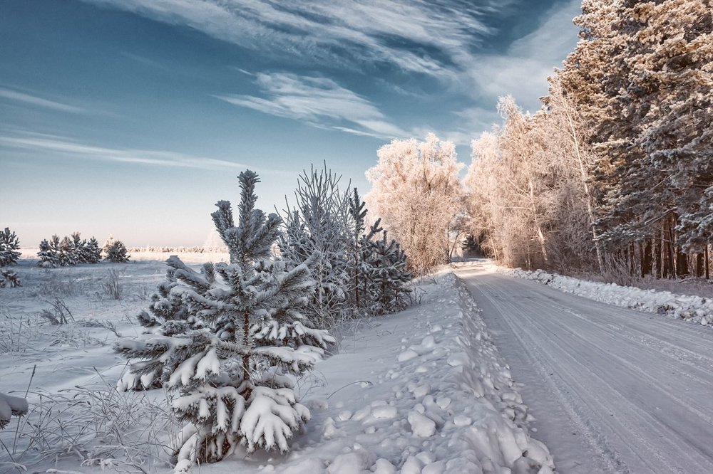 Зима пришла