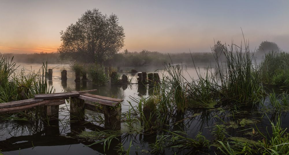 Туманное утро на реке Цна. с.Кузьмино-Гать