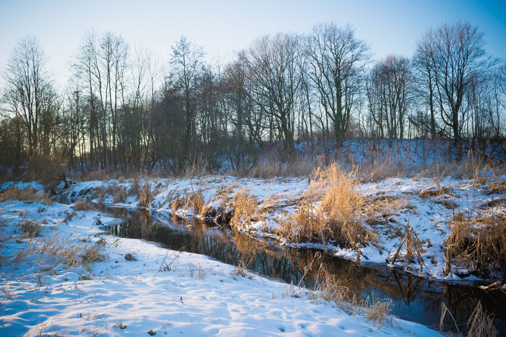 Photograph by Грушина Катерина