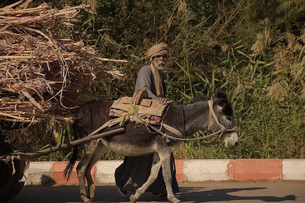 Photograph by Nikolai Savin