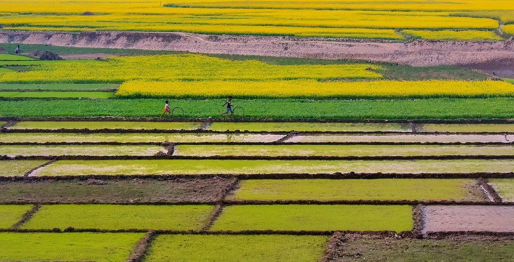 Beautiful Bangladesh