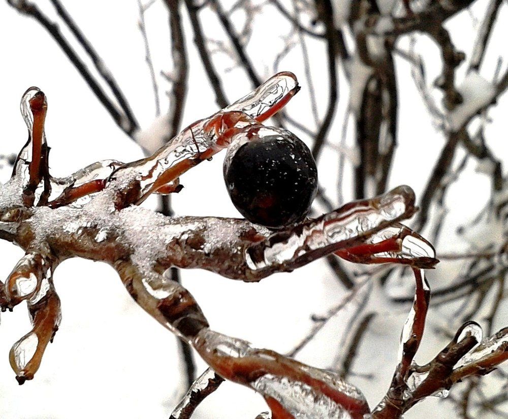 В ледяных пальцах