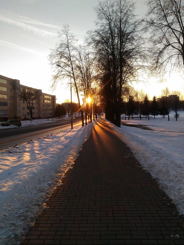 Photo #1665122