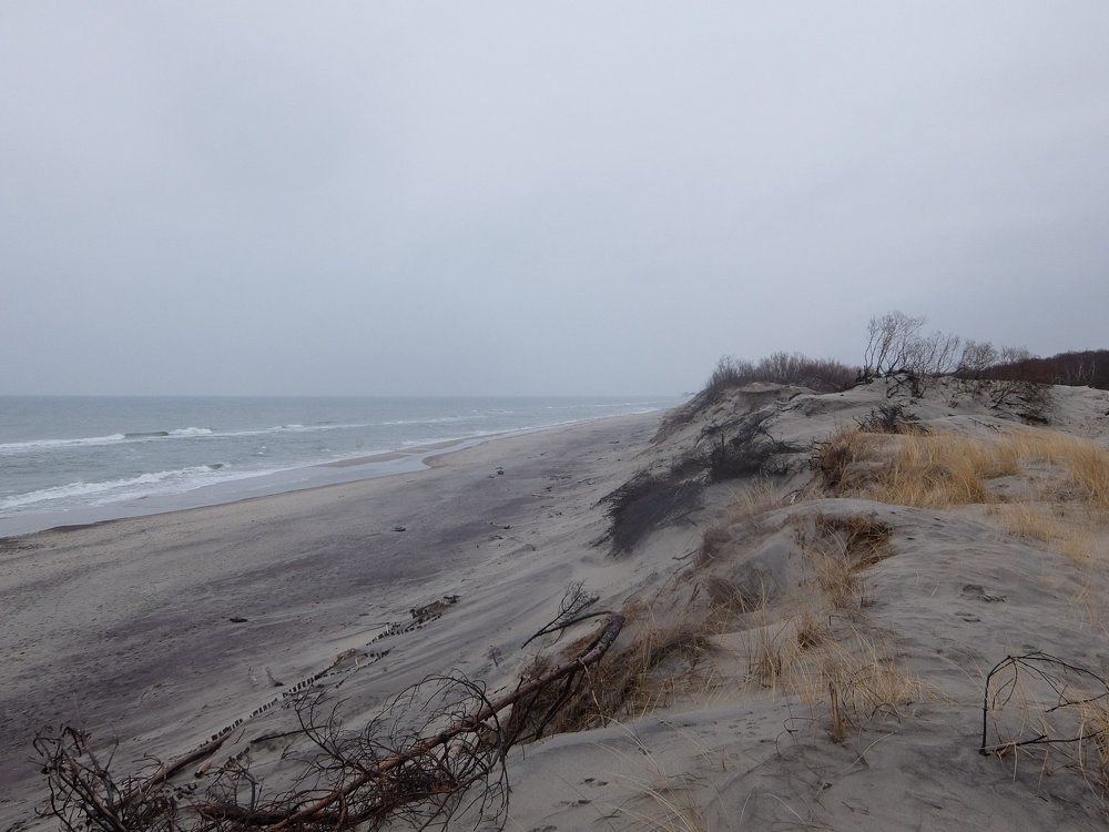 Песчаные дюны Куршской косы