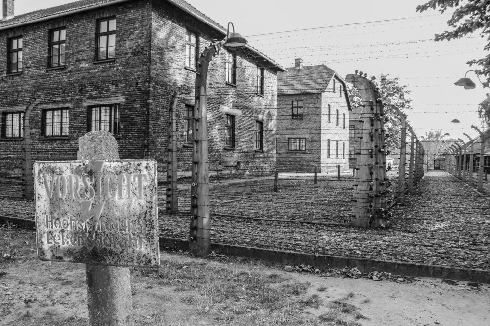 Кричащая тишина (Освенцим)