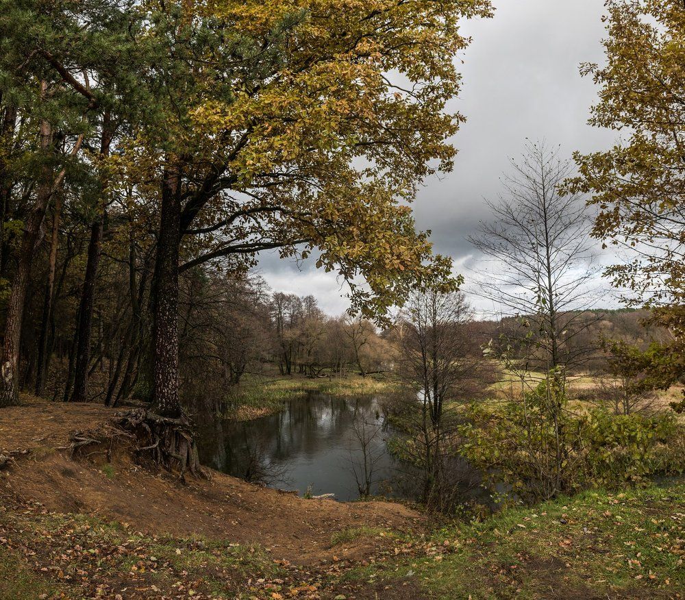 Осенняя панорама