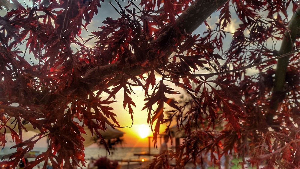 Photograph by Валиуллин Артур