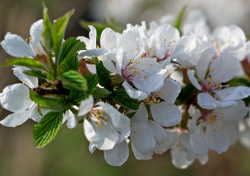 Однажды утром