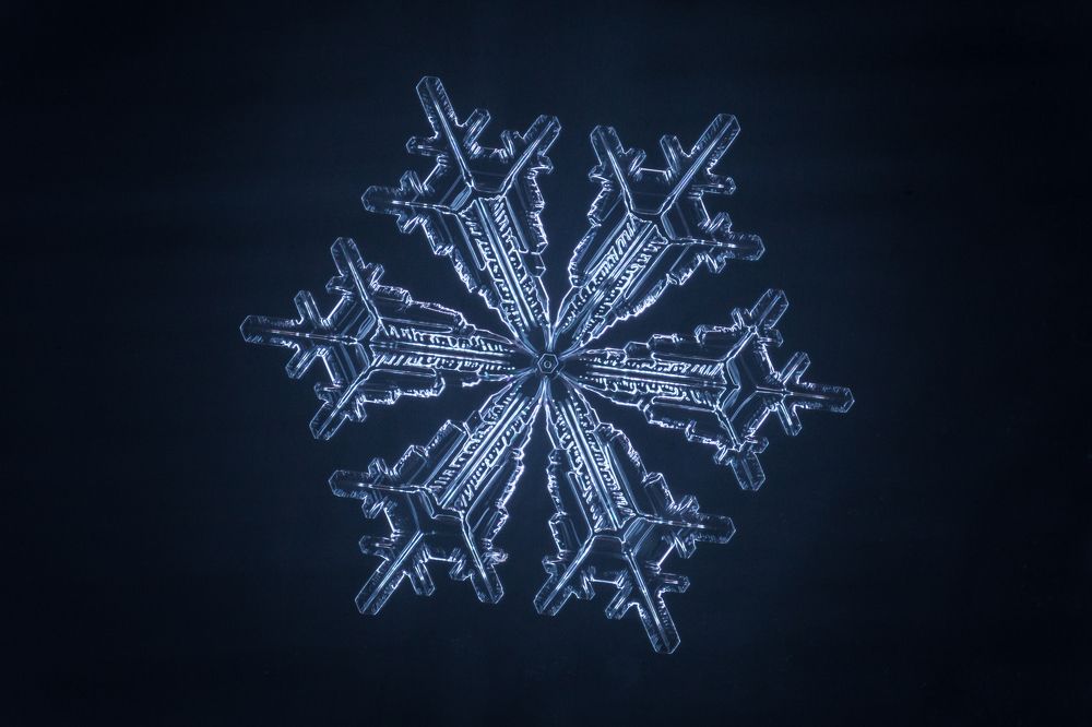 ледяной цветок
