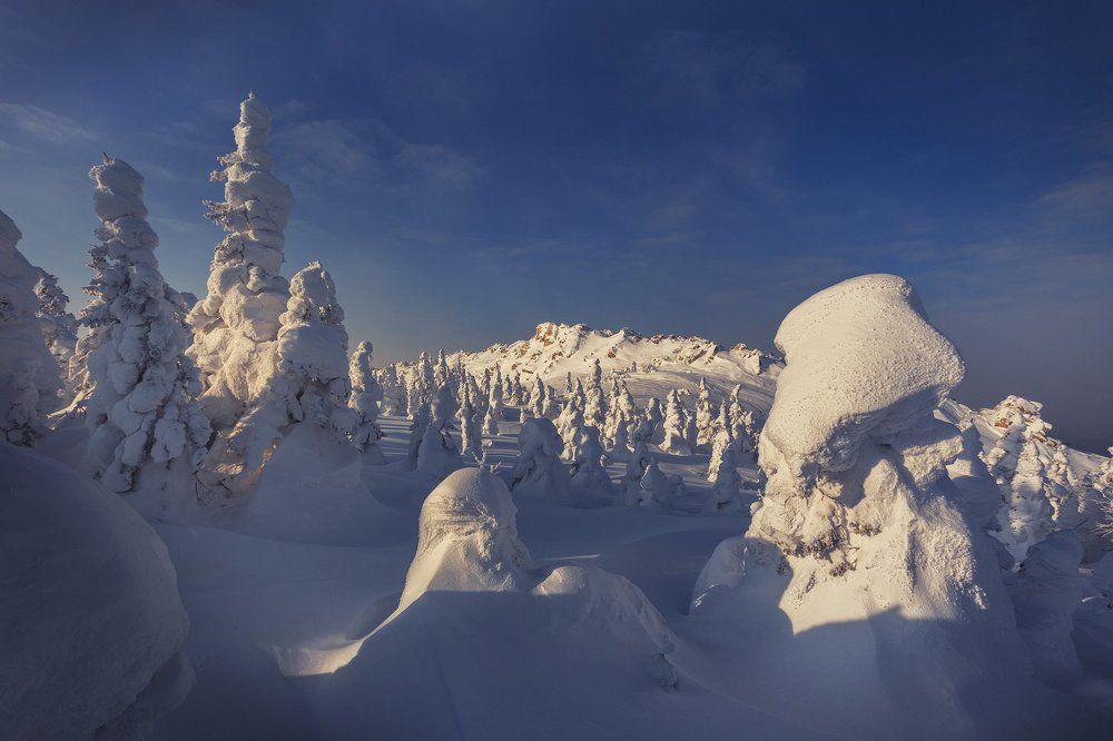 Штурмовик Таганая