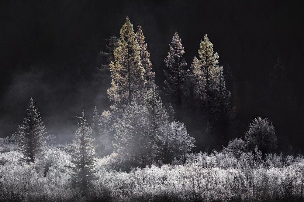 Серебро утра