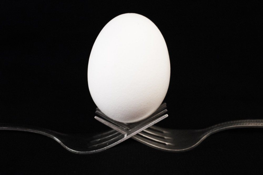 egg