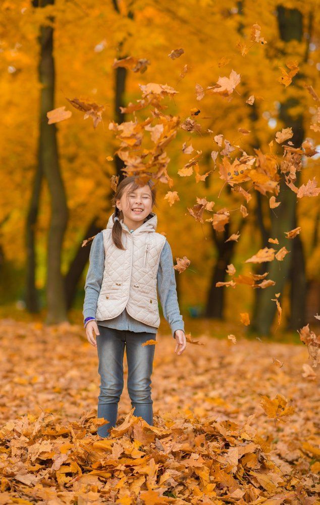 осенний дождь