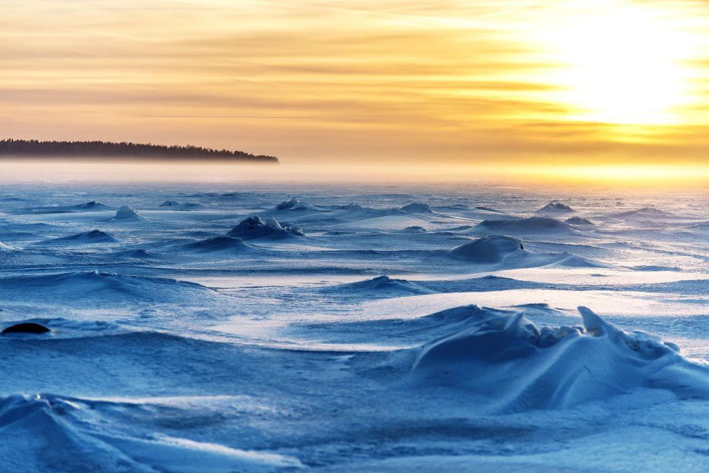 Ледяная пустыня