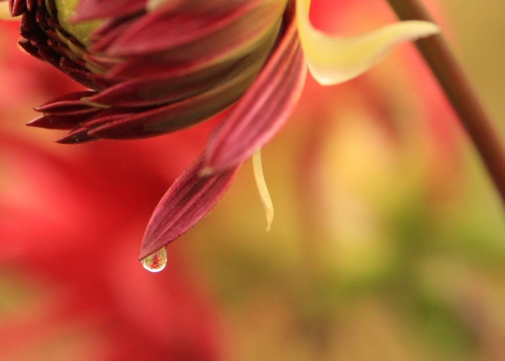 Droplet