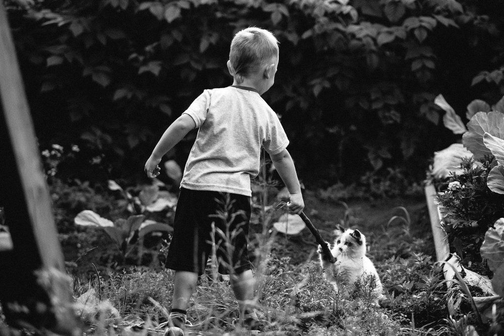 Детство. Товарищи по играм