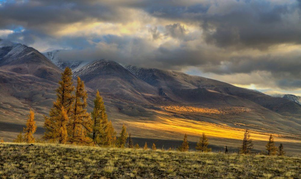 Photograph by Галина Хвостенко