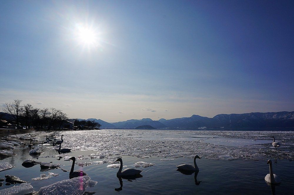 Swan Lake by the Volcano