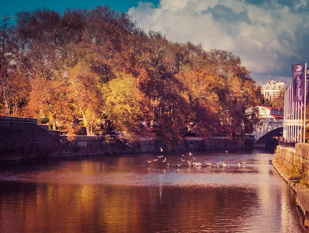 Осенний город