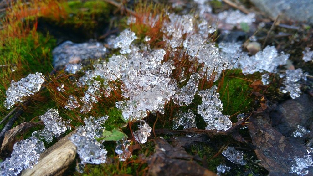 Сквозь зиму