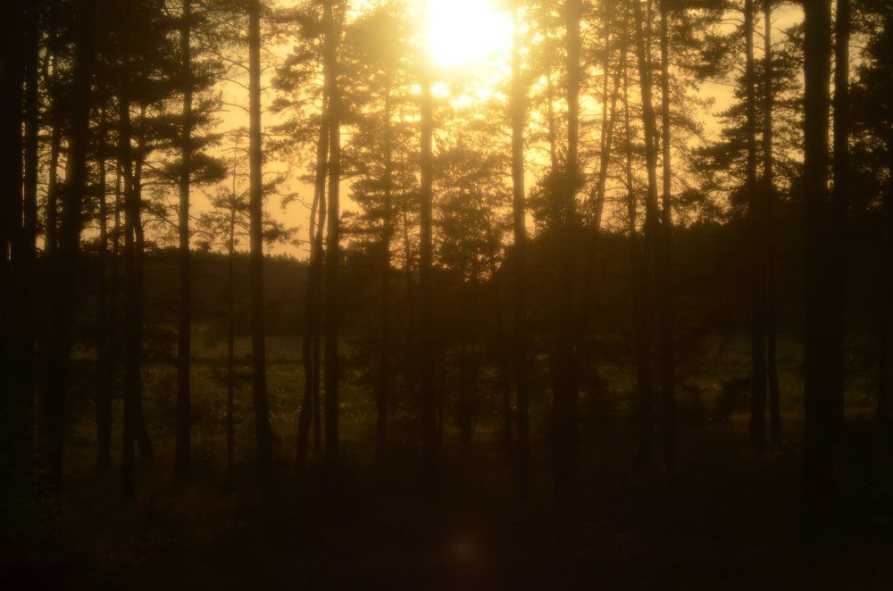 Golden hour on the river Kirzhach