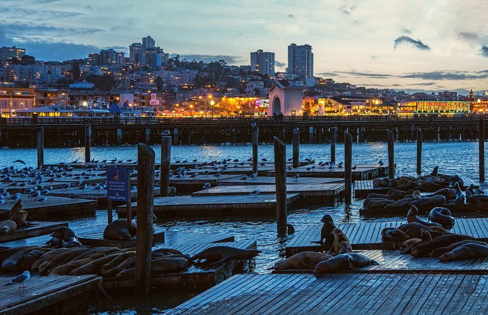 Пирс 39. Сан-Франциско