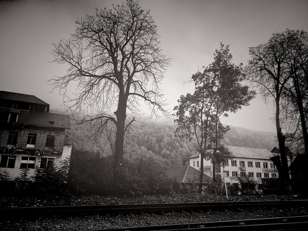 Photograph by Кристина