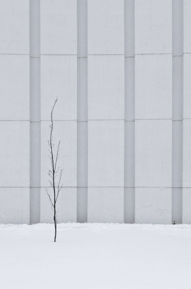 Photograph by Aeromast