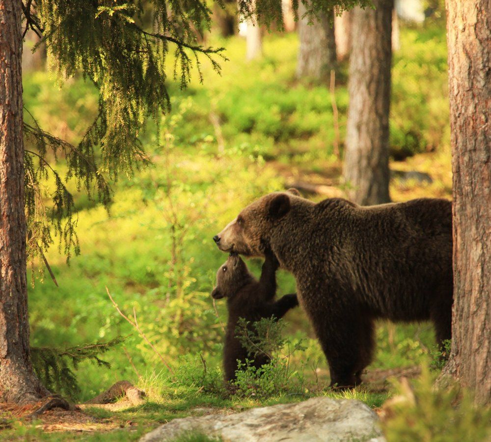 Мааам, ты самая халёсая