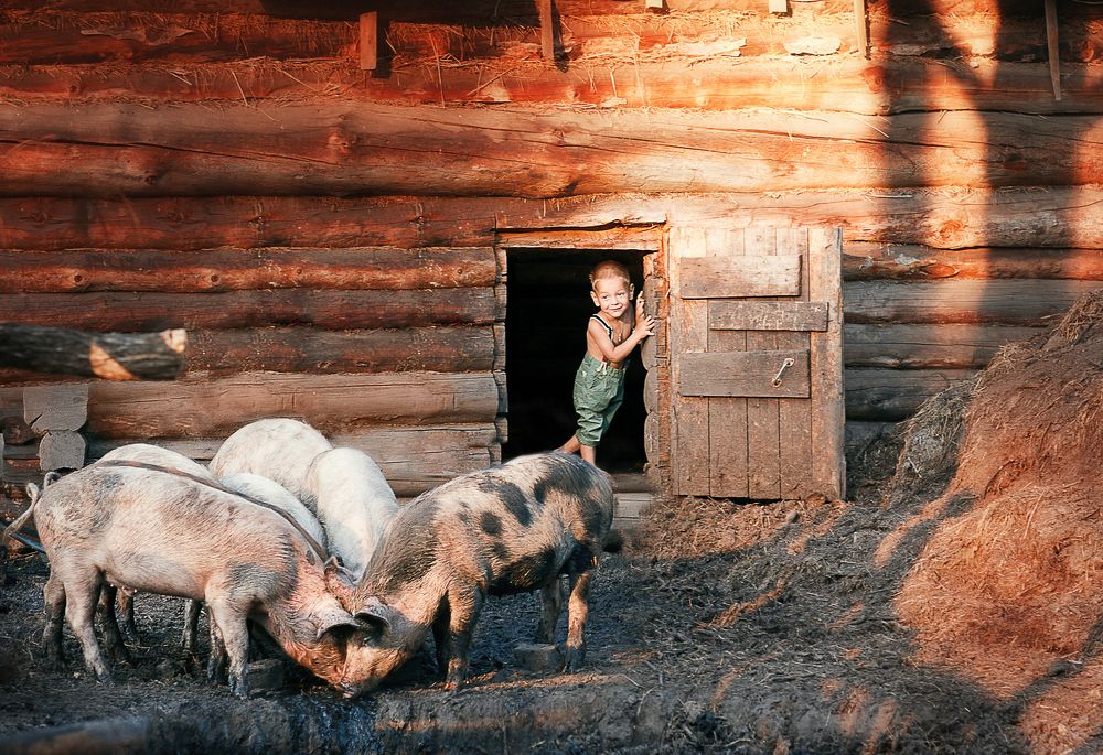 летом в деревне