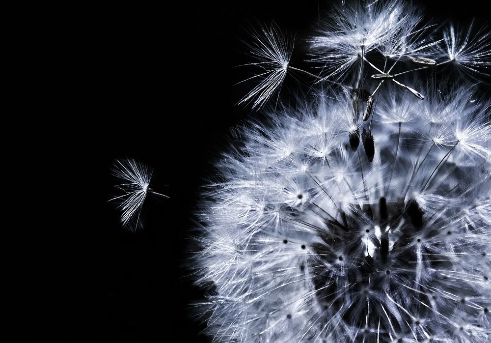 Майский снег...