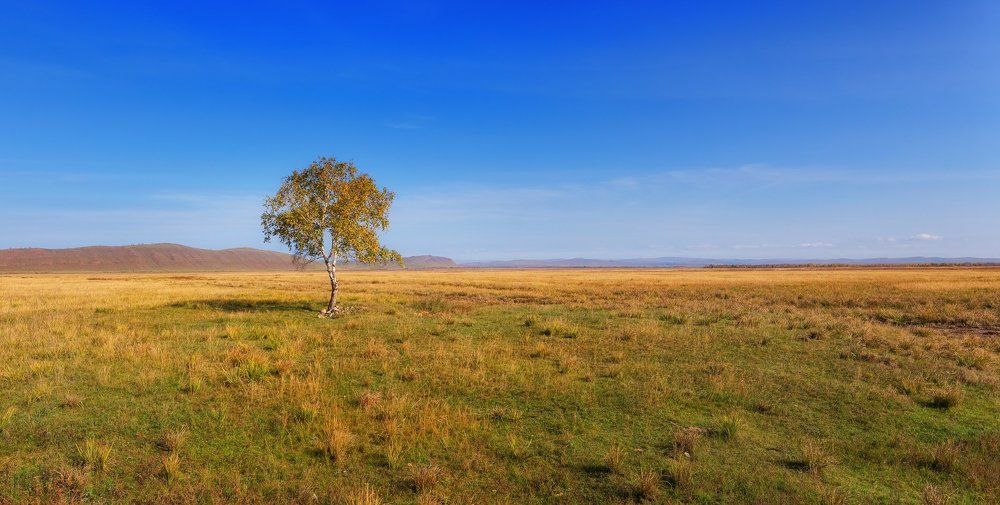 Осень в Хакасии