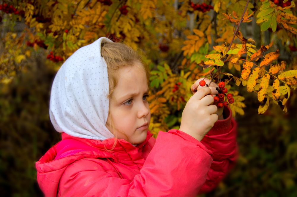 Осень в деревне