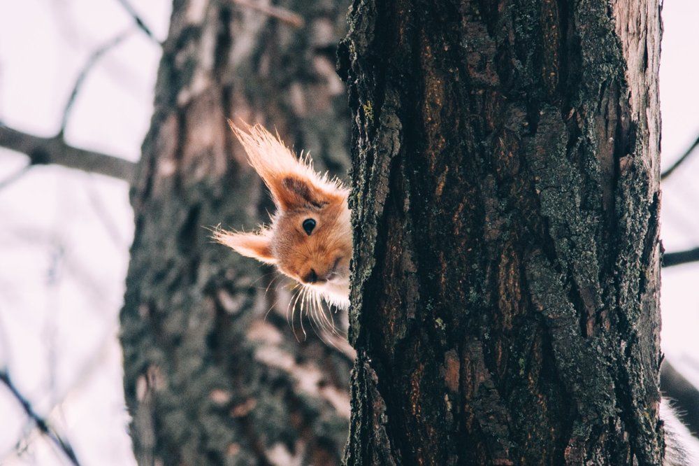 Кто там меня снимает?