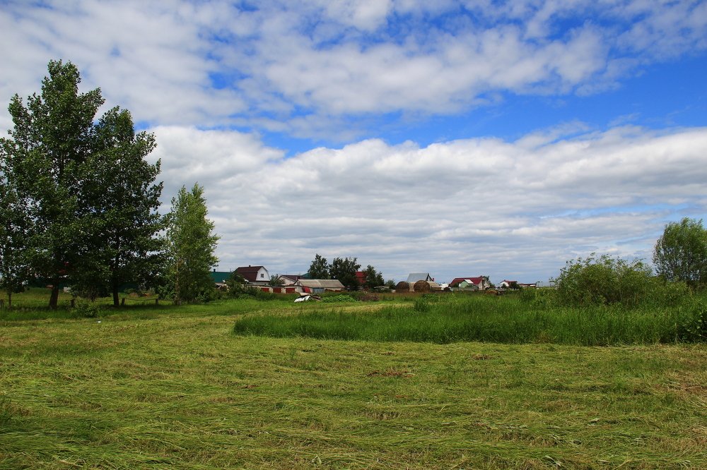 Лето в деревне.