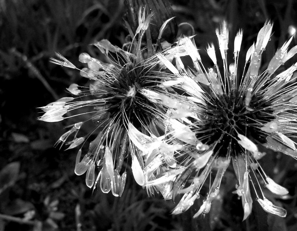 Фотография автора Владислава