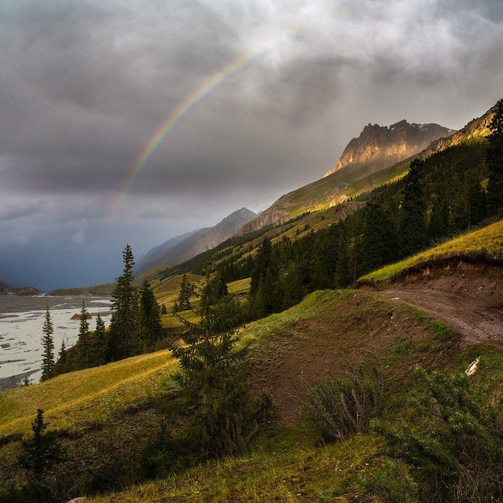 После дождя