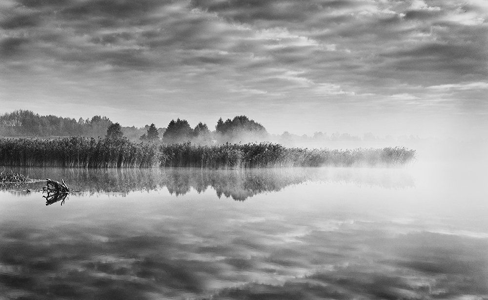 Встречая свет