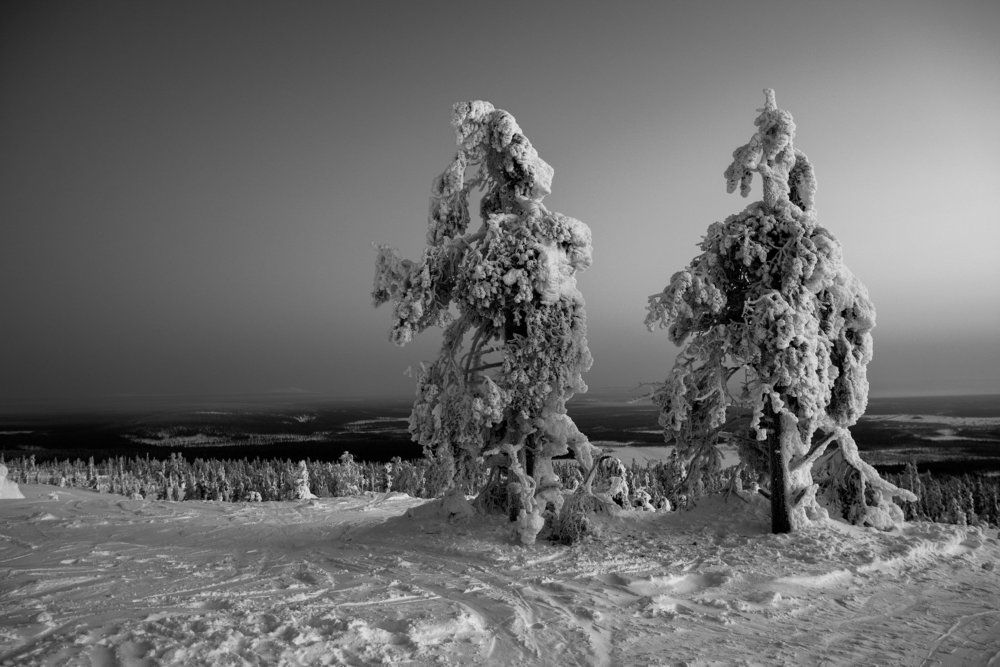 Замерзшие тролли. Frozen trolls