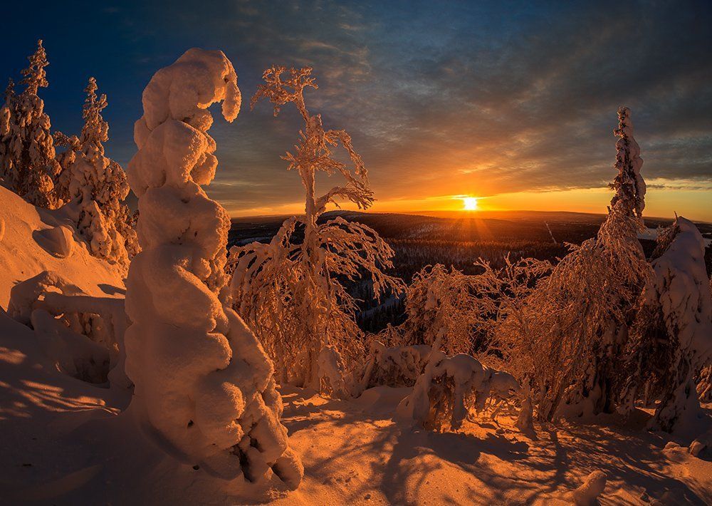 Любители солнца