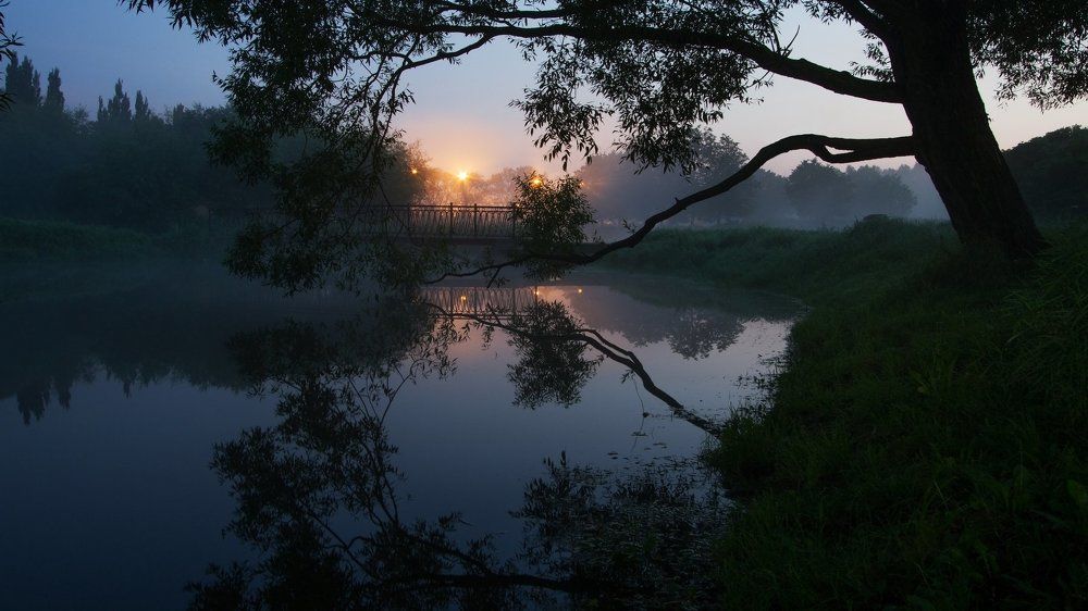 morning mist over the lake