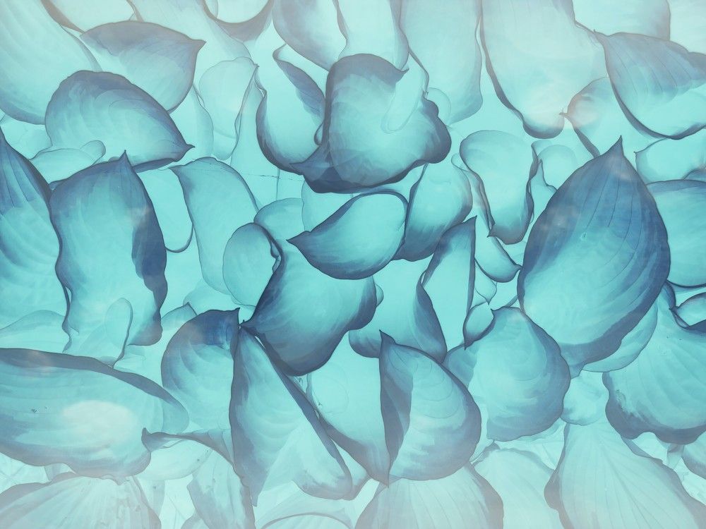 Photograph by татьяна